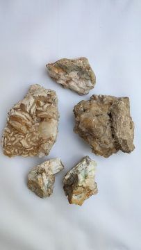 1664714914224-203x360.jpg