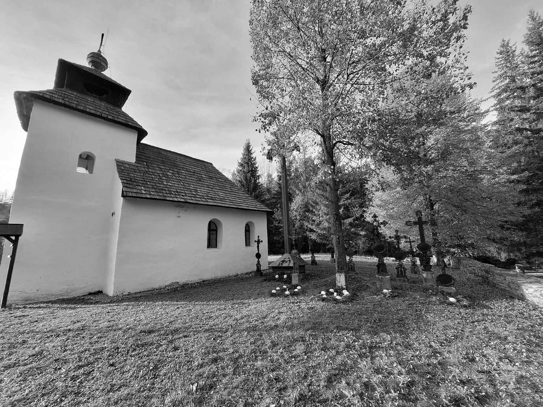3 Facebook Múzeum kysuckej dediny a Historická lesná úvraťová železnica vo Vychylovke.jpg