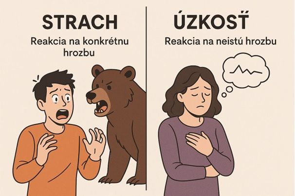 Bez názvu.jpg