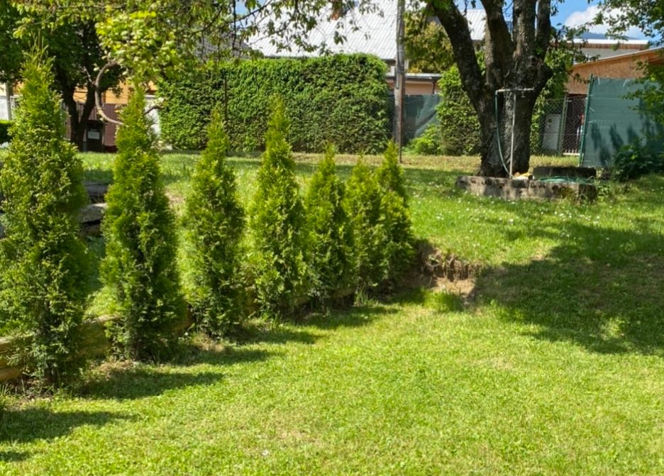 IMG-8044.jpg