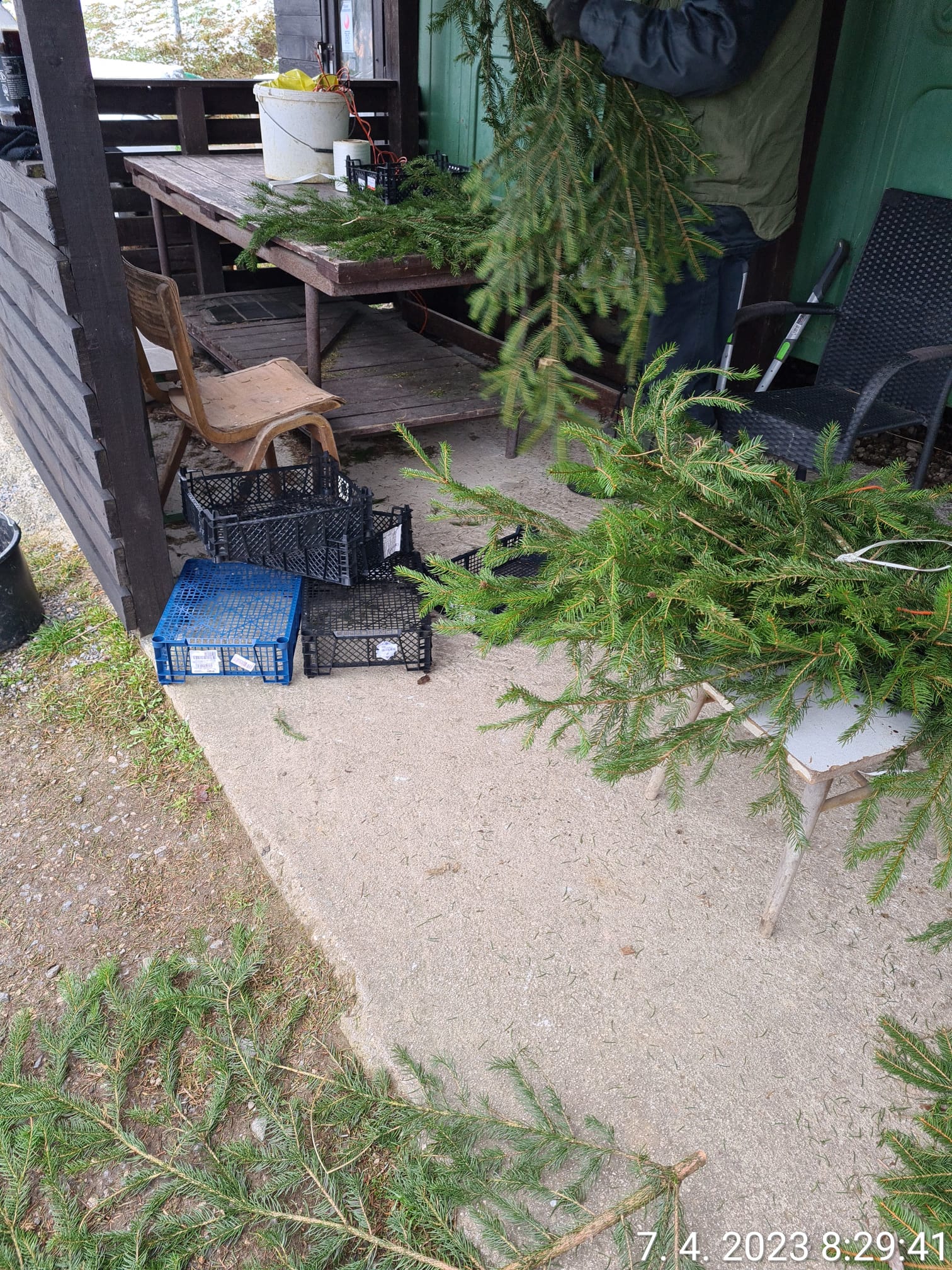 Itg1RFe1vPHwsXqKUqBERDPMTiL7ye3OdqIa9emd.jpg