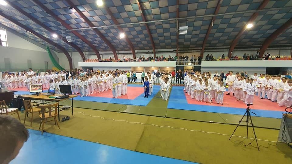 Judo Mladosť Žilina.jpg