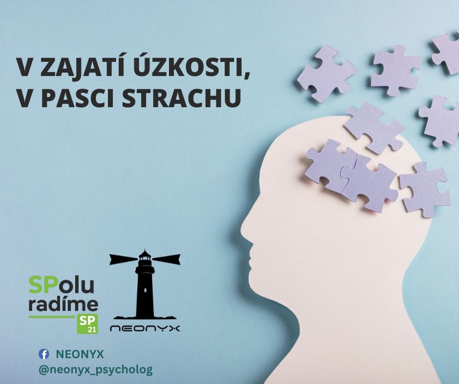 Obrázok WhatsApp 2025-06-18 o 08.30.36_f536a671.jpg