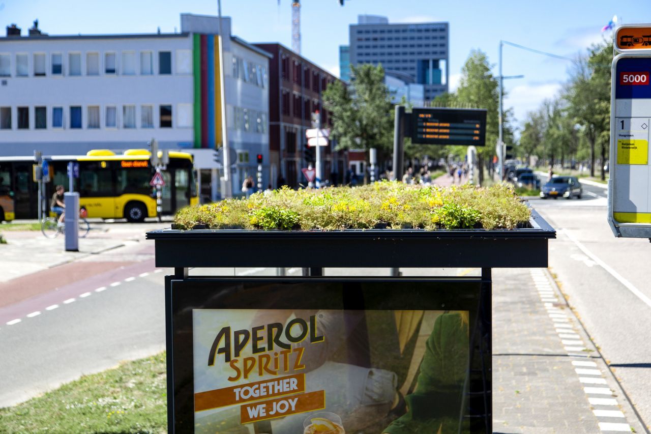 Utrecht_bee-friendy_station_04-660x330-1.jpg