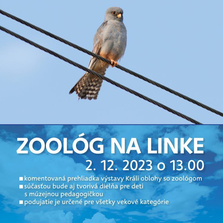 Zoolog_web-736x736.jpg