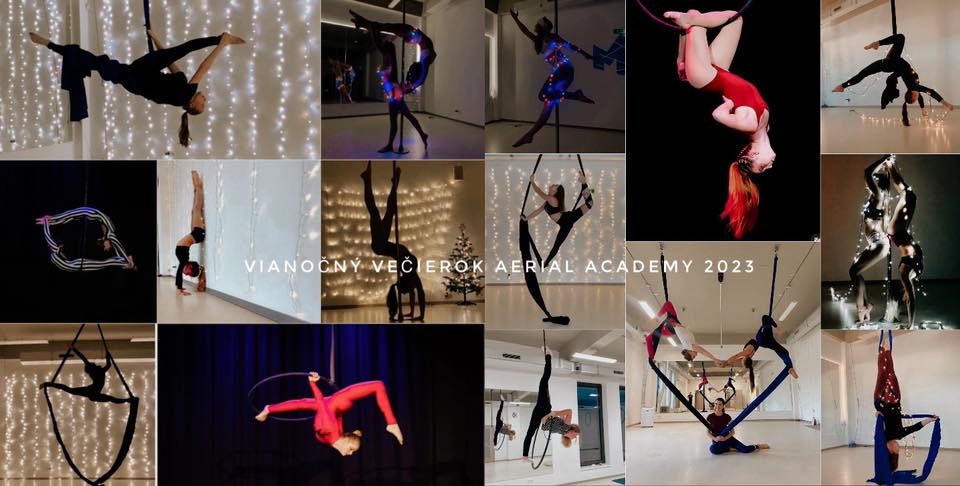 aerial academy mm.jpg