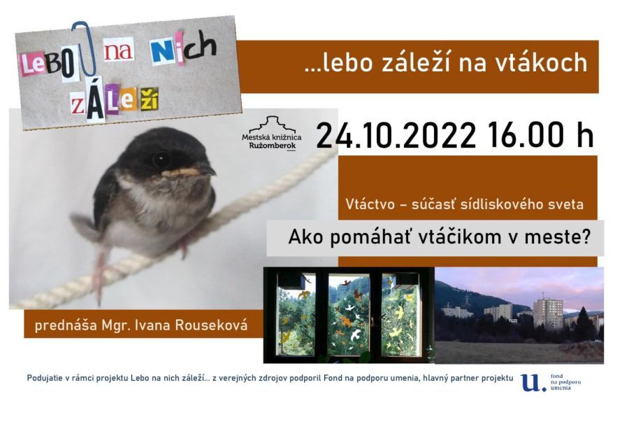 ako pomahat vtacikom, zdroj = mesto ruzomberok.jpg