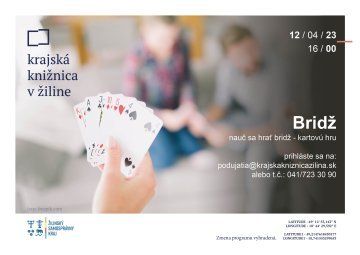 bridz, krajska kniznica.jpg