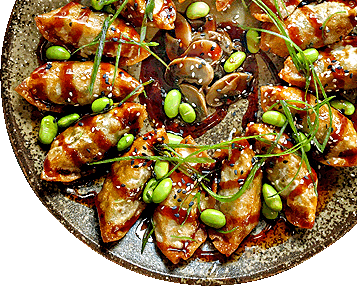 foodstock-gyoza.png