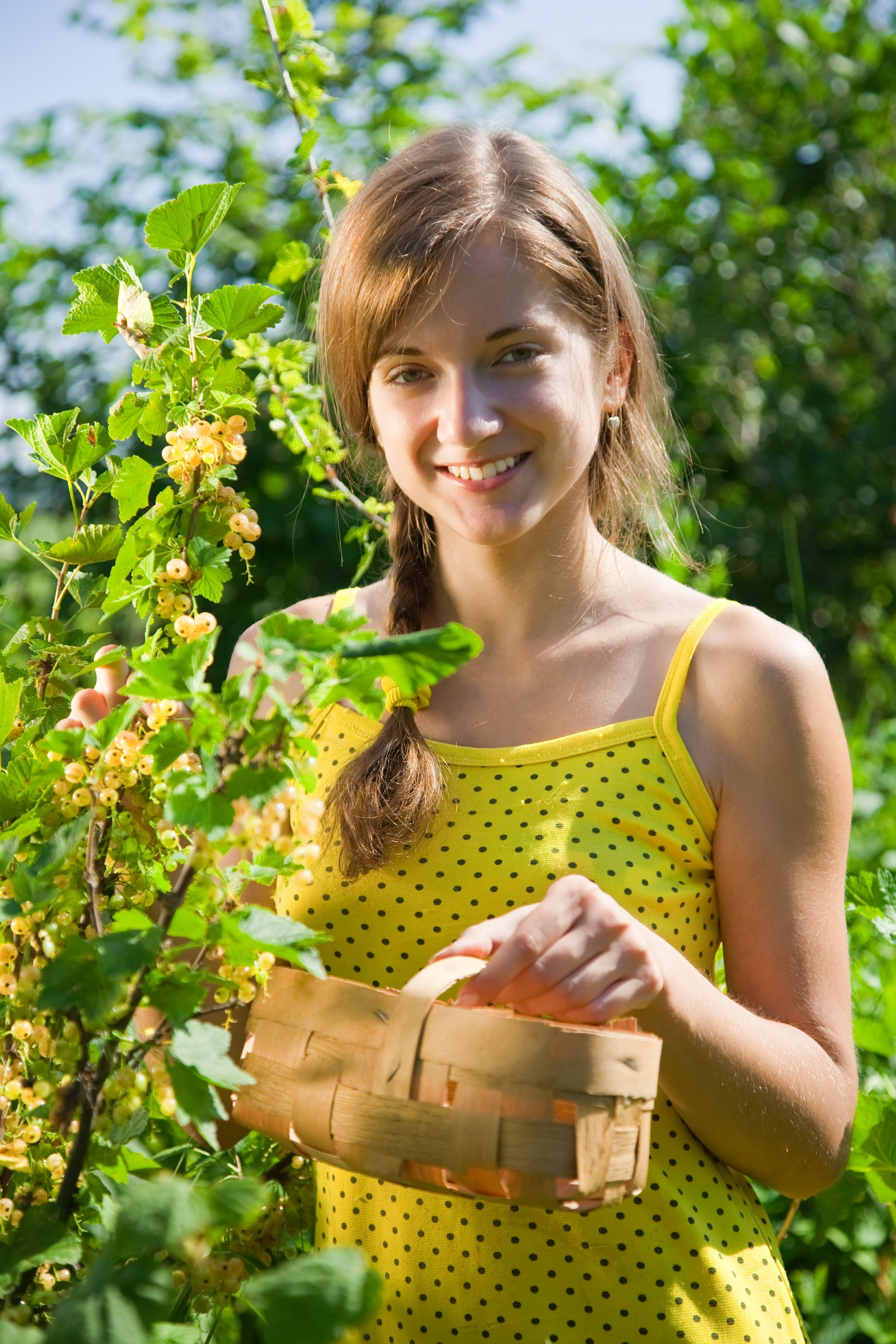 girl-is-picking-white-currant.jpg