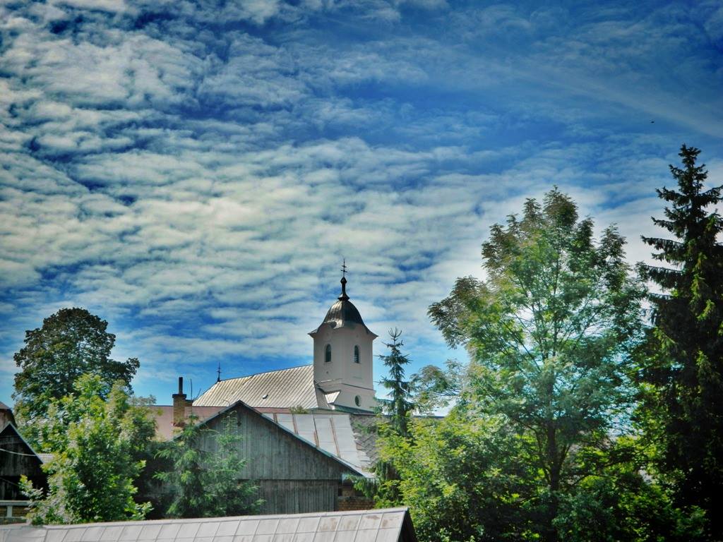 i_5532809.jpg