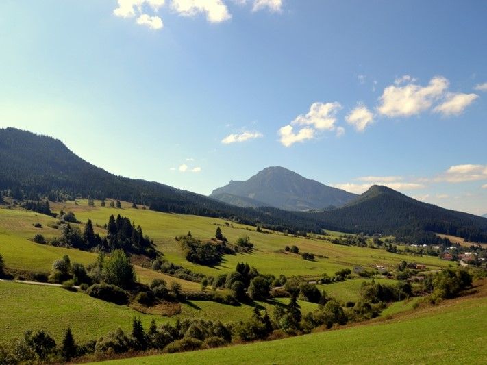 image12.jpg