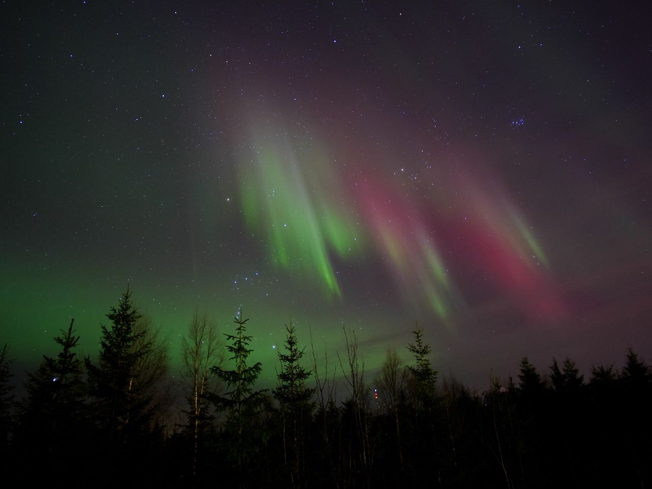 low-angle-view-starry-sky.jpg