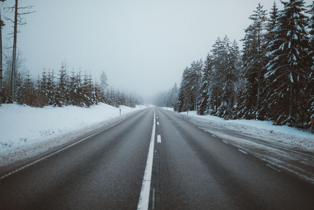 magnificent-view-road-surrounded-by-trees-snow-covered-fields-captured-sweden_1024x683.jpg