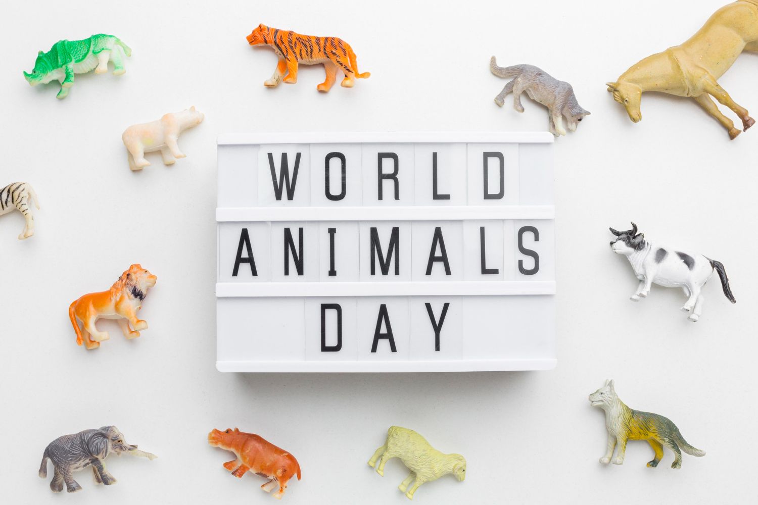 top-view-animal-figurines-with-light-box-animal-day.jpg