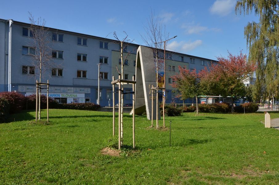 xDSC_0261.jpg