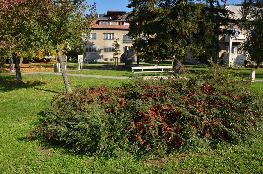 xDSC_0270.jpg
