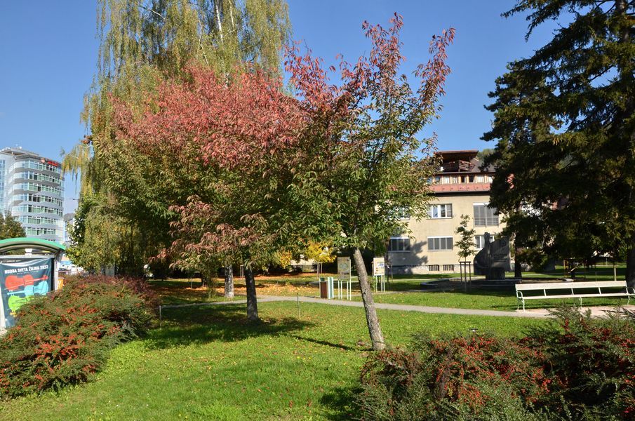 xDSC_0271.jpg