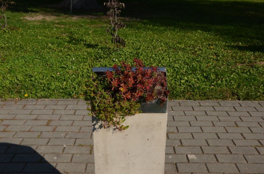 xDSC_0277.jpg