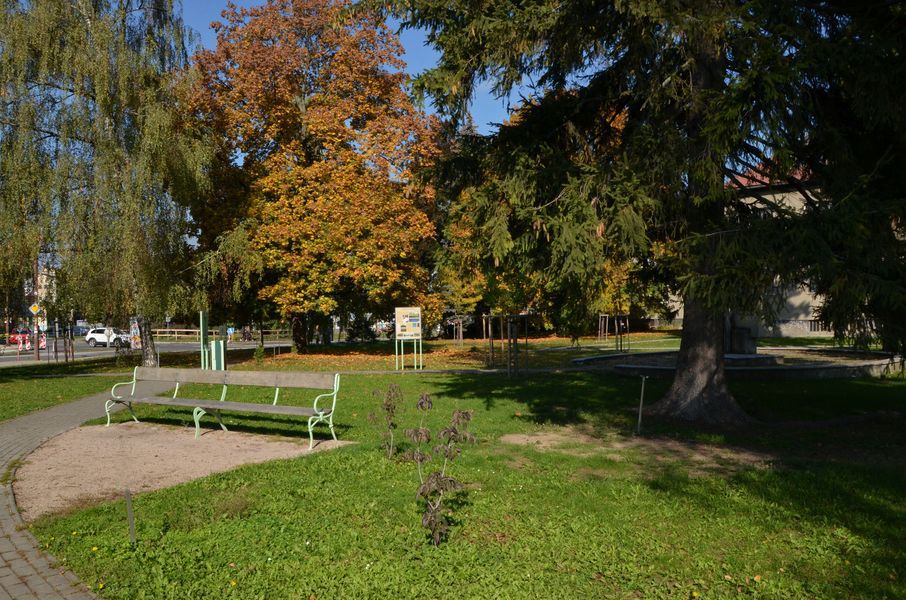 xDSC_0278.jpg