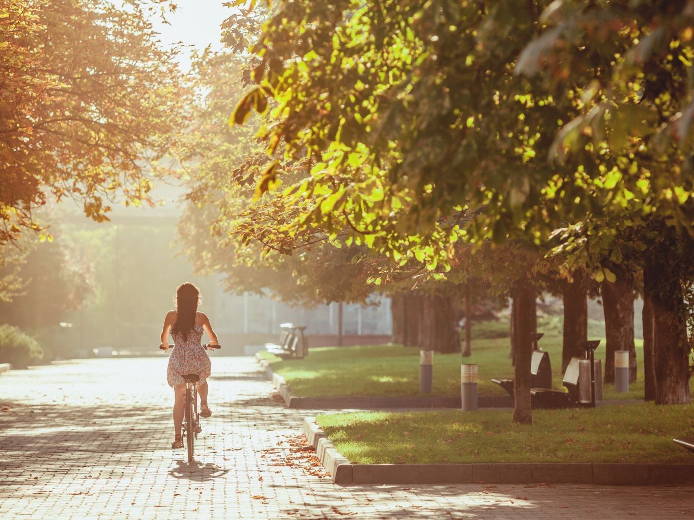 young-girl-with-bicycle-park.jpg